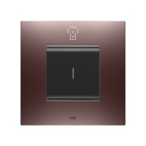 CHORUSMART - Domestic range EGO SMART INTERNATIONAL plates